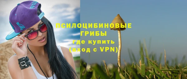 спиды Новокубанск