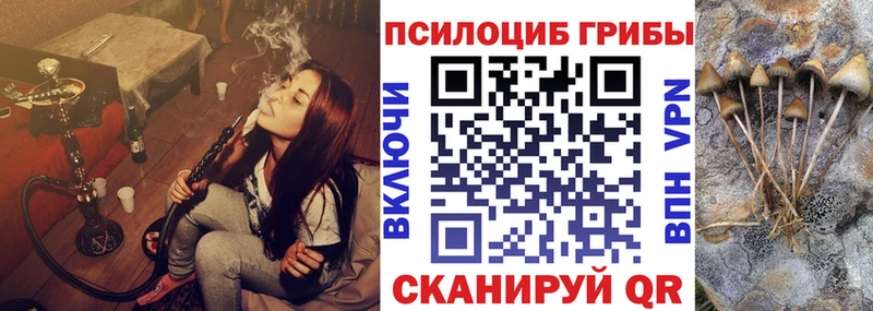 Галлюциногенные грибы Psilocybe  OMG зеркало  Спасск-Рязанский  купить  